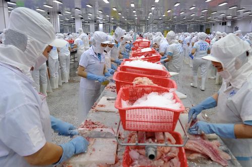 Sau cú 'chao đảo', xuất khẩu thủy sản sang Trung Quốc lập kỷ lục 2,3 tỷ USD