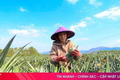 Đánh giá mới nhất về chất lượng không khí của Hà Tĩnh