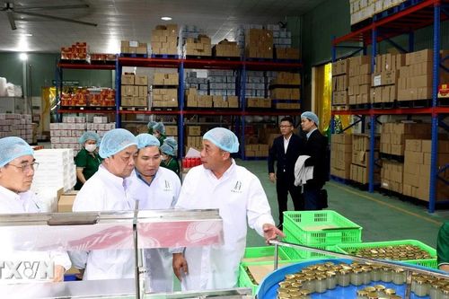 Khánh Hòa quy hoạch vùng nguyên liệu rong biển theo hướng bền vững
