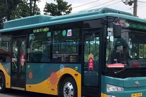 Tp.HCM miễn phí vé xe buýt dịp đầu năm mới