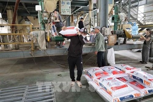 Phục hồi sản xuất công nghiệp sau thiên tai - Bài 1: Vượt qua bão lũ, giữ nhịp tăng trưởng