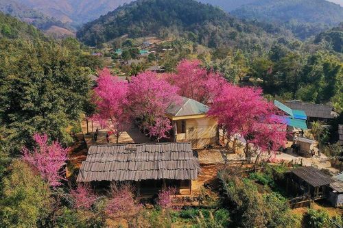 Nghệ An kích cầu thương mại, dịch vụ dịp tết Dương lịch