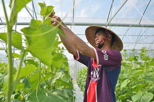 Tạo sinh kế để giảm nghèo