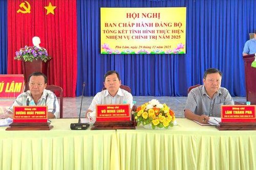 Xã Phú Lâm đạt nhiều kết quả tích cực trên các lĩnh vực trong năm 2025