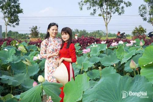 Xuân Phú hướng đến phát triển xanh