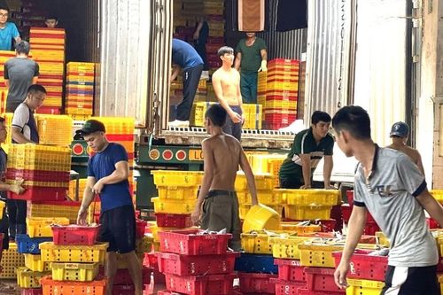 Chuyển đổi nghề, tạo sinh kế bền vững cho ngư dân