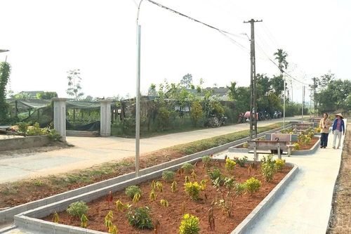 Trấn Yên: Chung sức vì môi trường sống xanh, sạch, đẹp