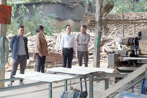 Nghị quyết Đại hội Đảng bộ tỉnh: Từ nhận thức đến hành động hiệu quả