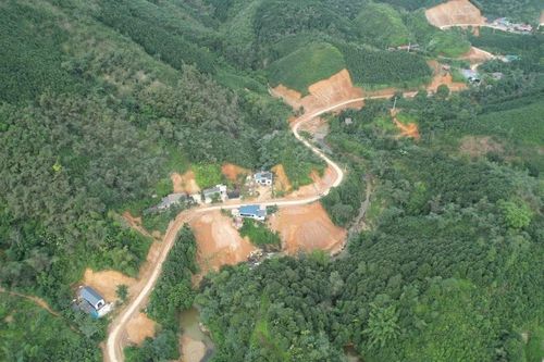Quy Mông trồng rừng đạt 102% kế hoạch