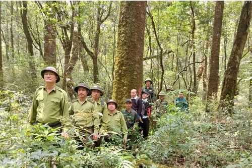 Chi trả hơn 15,2 tỷ đồng dịch vụ môi trường rừng tại Khu bảo tồn Loài và Sinh cảnh Mù Cang Chải