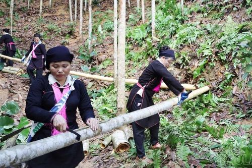 Xã Bảo Hà đạt và vượt 26/31 chỉ tiêu kinh tế - xã hội năm 2025