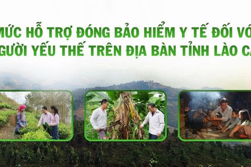 Quy định mức hỗ trợ đóng bảo hiểm y tế đối với người yếu thế trên địa bàn tỉnh Lào Cai