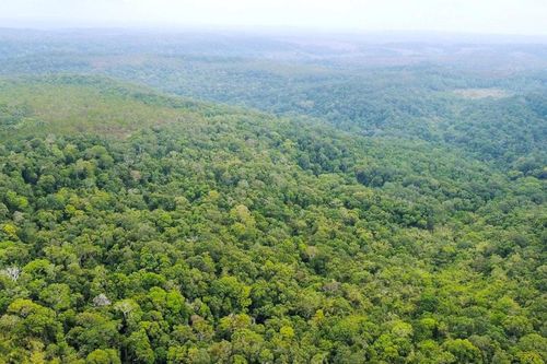 'Điểm sáng' giữ rừng ở Nam Tây Nguyên
