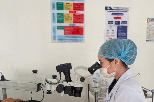 Lâm Đồng cảnh báo tai nạn mắt khi thu hoạch cà phê
