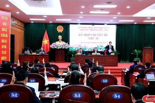 Kỳ họp chuyên đề thứ 38 HĐND tỉnh khóa XV, nhiệm kỳ 2021 - 2026