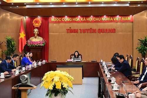 Ngành Y tế cần củng cố y tế cơ sở, y tế dự phòng, coi đây là nền tảng của hệ thống chăm sóc sức khỏe