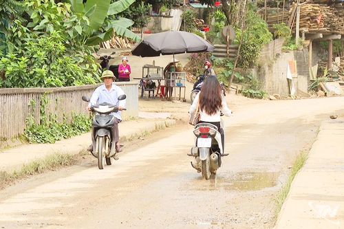 Nhiều người vẫn 'quên' đội mũ bảo hiểm khi ra đường