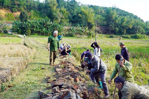Xây dựng nông thôn mới và phát triển sản phẩm OCOP ở Cẩm Giàng