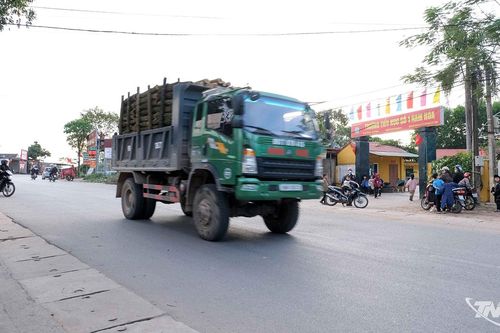 Xe tải chở gỗ lao qua cổng trường: Nỗi lo thường trực ở Nam Hòa