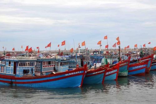 Mỗi tàu cá chỉ trang bị một thiết bị VMS nhằm nâng cao quản lý thủy sản bền vững