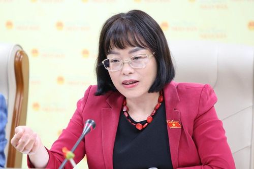 Hiến pháp 1992 - cuộc 'cách mạng' trong tư duy kinh tế và kỹ thuật lập pháp