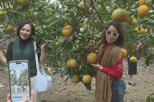 Xã Vân Đình phát triển du lịch ẩm thực kết nối di sản