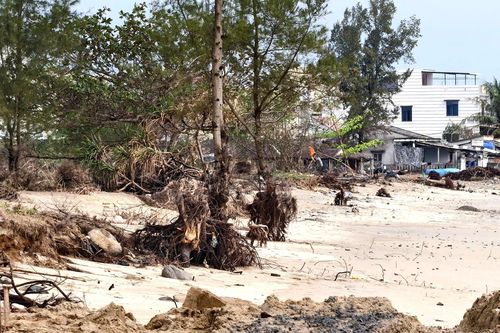 Sóng 'ngoạm' bật gốc phi lao, phá tan hoang bãi biển đẹp nhất Quảng Ngãi