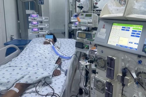 Cứu sống bé 15 tuổi sốc sốt xuất huyết nặng, biến chứng tổn thương thận, gan, tụy