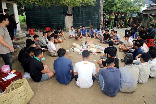 Bao vây trường gà giữa khu đất hoang, bắt 35 con bạc