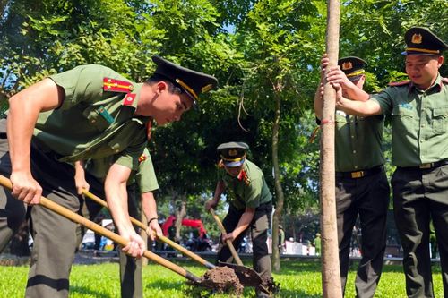 Hà Nội sẽ trồng thêm hơn 80.000 cây xanh đầu xuân Bính Ngọ 2026