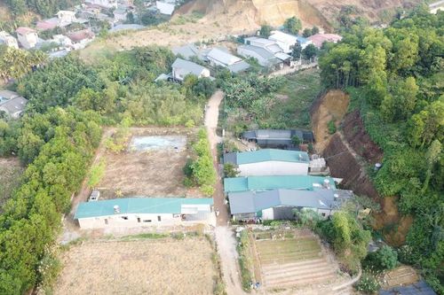 Lào Cai: Đất rừng Văn Phú bị phân lô có hợp pháp ?