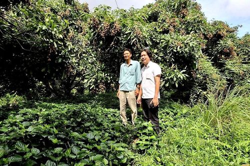 Thanh niên và sự chuyển dịch ý thức môi trường ở nông thôn Việt Nam