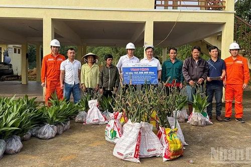 Hỗ trợ sinh kế cho các hộ nghèo trên địa bàn miền núi Trà Đốc