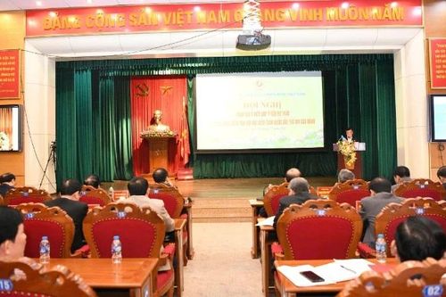 Hội nghị Trung ương 7 Hội Cựu chiến binh Việt Nam: Tổng kết năm 2025, hướng tới Đại hội VIII