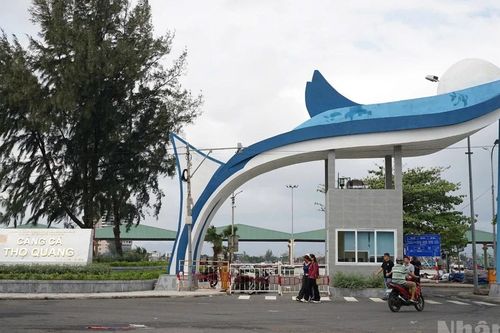 Đà Nẵng: Khu vực âu thuyền và cảng cá Thọ Quang chuyển biến sau 5 năm xử lý ô nhiễm