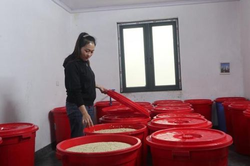 Hướng đi mới cho đặc sản quê hương