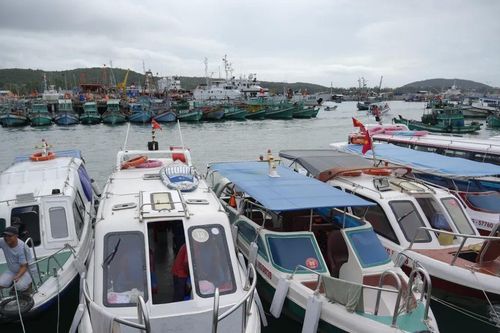 An Giang: Phê duyệt Đề án khai thác cảng An Thới