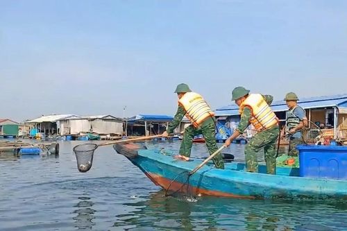 Huy động lực lượng khẩn trương thu gom cá chết trên sông Chà Và