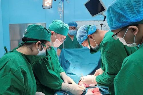 Cấp cứu thành công cho du khách tại Côn Đảo