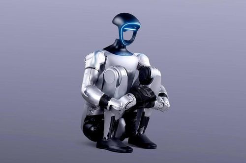 Robot hình người bị hack bằng giọng nói, lây virus không cần mạng