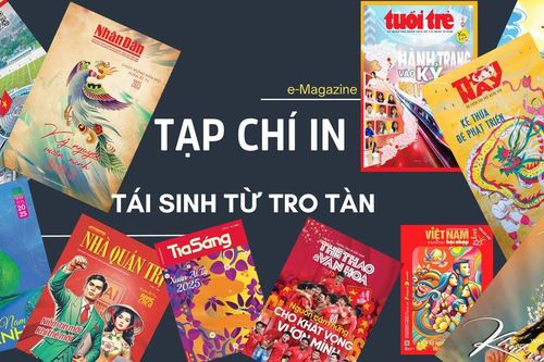 Tái sinh từ tro tàn