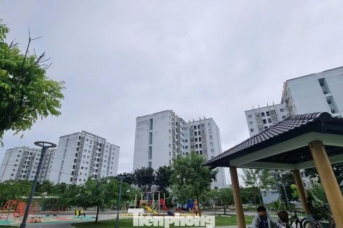 Giá thuê nhà ở xã hội tại Đà Nẵng sẽ biến động ra sao?