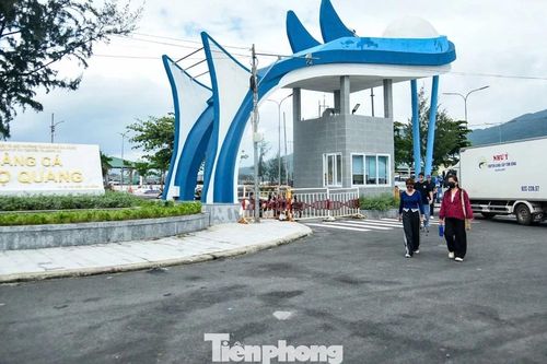 Cảng cá lớn nhất Đà Nẵng 'hạ nhiệt' ô nhiễm sau 5 năm xử lý