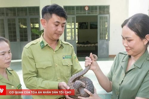 Thả 5 cá thể động vật hoang dã quý hiếm về Vườn Quốc gia Chư Mom Ray