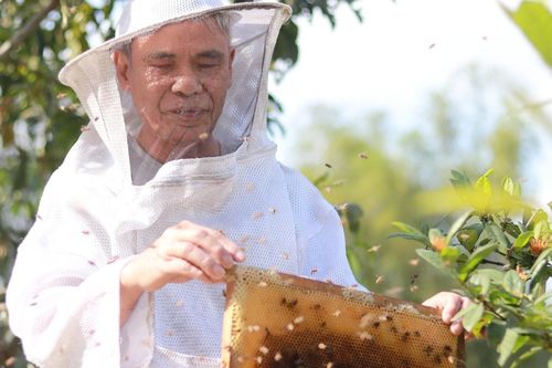 Nghị lực phi thường của người đàn ông mù lòa nuôi ong giữa núi rừng Hà Tĩnh