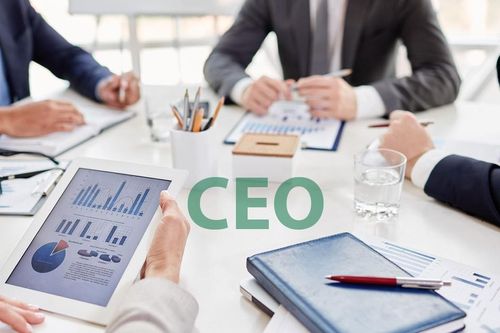 Tuổi CEO các doanh nghiệp lớn:Thế hệ lãnh đạo bản lĩnh dẫn dắt doanh nghiệp Việt