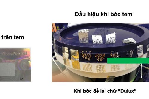 AkzoNobel tăng cường hoạt động chống sơn giả với thương hiệu Dulux và Maxilite, bảo vệ quyền lợi của người tiêu dùng