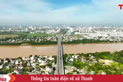Nhịp cầu nối những bờ vui