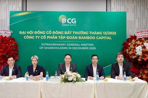 CTCP Tập đoàn Bamboo Capital bao giờ hết lỗ?