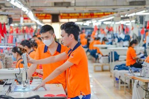 Đơn hàng 'chốt' sát giờ, doanh nghiệp dệt may tăng tốc xử lý để không mất cơ hội